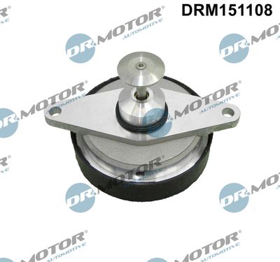 EGR Valve Dr.Motor Automotive DRM151108