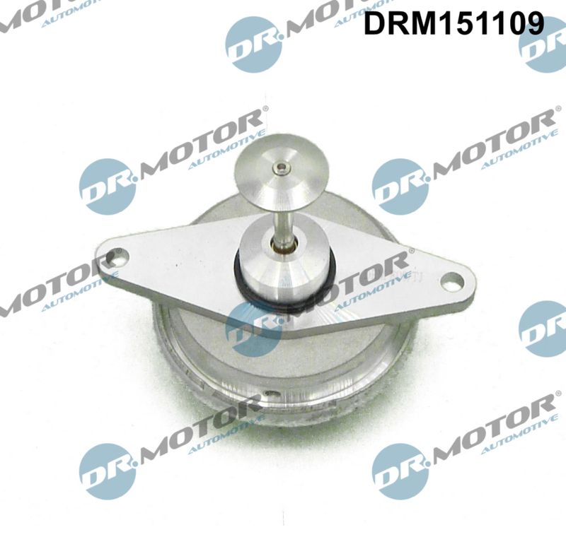 Dr.Motor Automotive DRM151109 EGR Valve