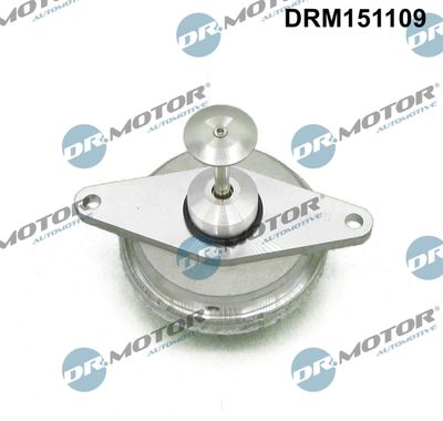 EGR Valve Dr.Motor Automotive DRM151109