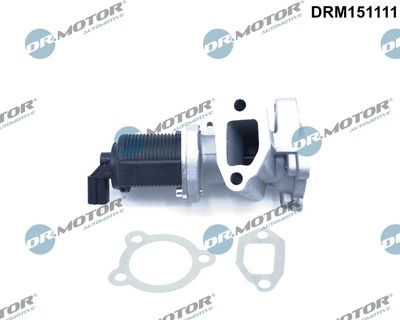 EGR Valve Dr.Motor Automotive DRM151111