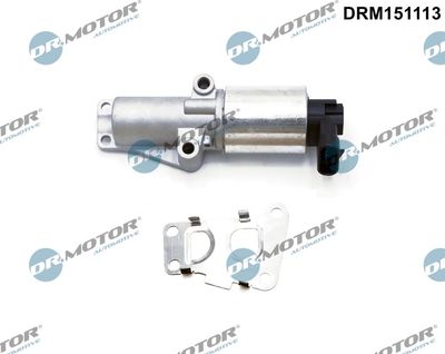 EGR Valve Dr.Motor Automotive DRM151113