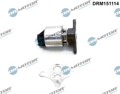 EGR Valve Dr.Motor Automotive DRM151114