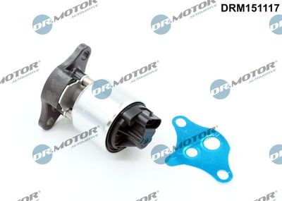 EGR Valve Dr.Motor Automotive DRM151117