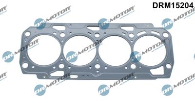 Gasket, cylinder head Dr.Motor Automotive DRM15204