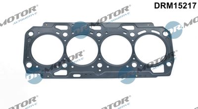 Gasket, cylinder head Dr.Motor Automotive DRM15217