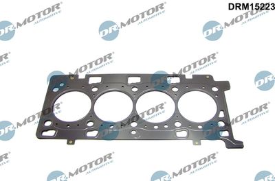 Gasket, cylinder head Dr.Motor Automotive DRM15223