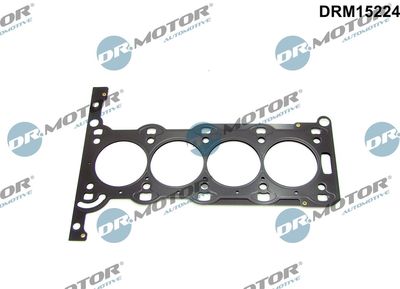 Gasket, cylinder head Dr.Motor Automotive DRM15224