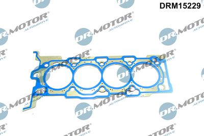 Gasket, cylinder head Dr.Motor Automotive DRM15229
