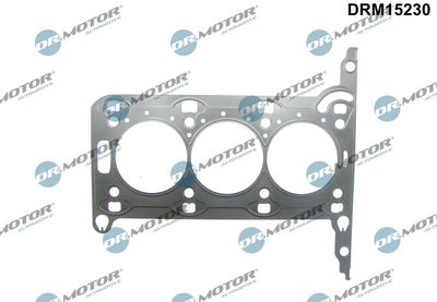 Gasket, cylinder head Dr.Motor Automotive DRM15230