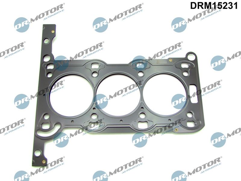 Dr.Motor Automotive DRM15231 Gasket, cylinder head