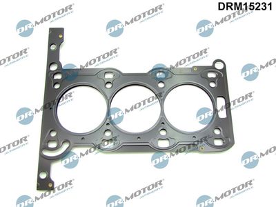 Gasket, cylinder head Dr.Motor Automotive DRM15231