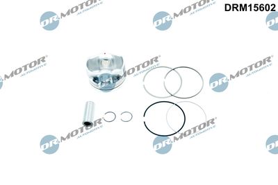 Piston Dr.Motor Automotive DRM15602