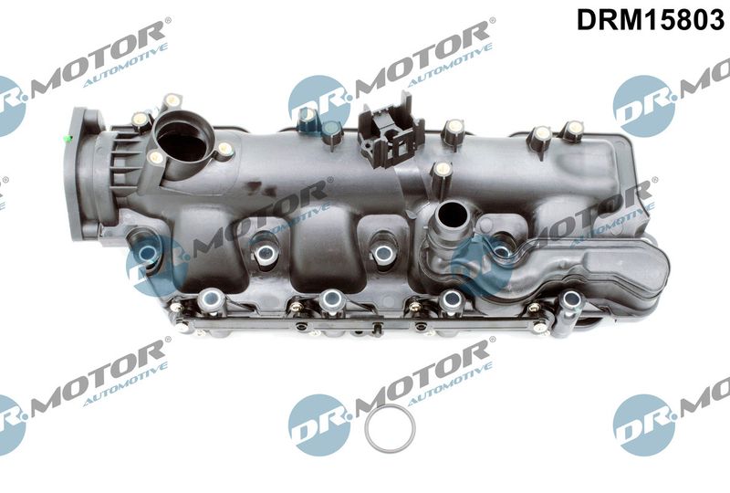 Dr.Motor Automotive DRM15803 Intake Manifold Module
