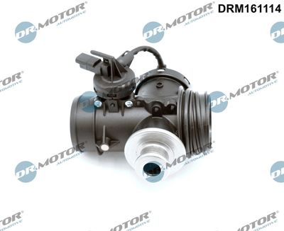 EGR Valve Dr.Motor Automotive DRM161114