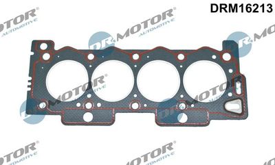 Gasket, cylinder head Dr.Motor Automotive DRM16213