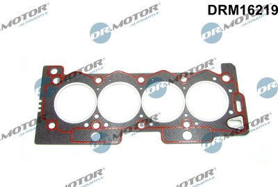 Gasket, cylinder head Dr.Motor Automotive DRM16219
