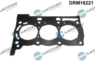 Gasket, cylinder head Dr.Motor Automotive DRM16221