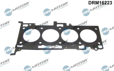 Gasket, cylinder head Dr.Motor Automotive DRM16223