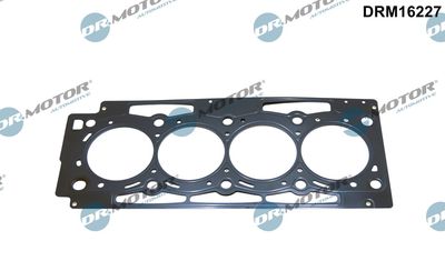 Gasket, cylinder head Dr.Motor Automotive DRM16227