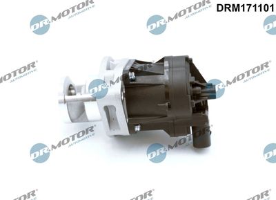 EGR Valve Dr.Motor Automotive DRM171101