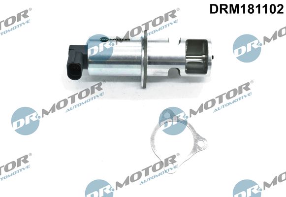 Dr.Motor Automotive DRM181102 EGR Valve