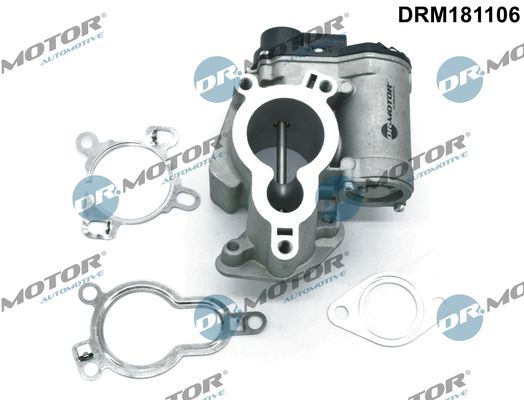 Dr.Motor Automotive DRM181106 EGR Valve