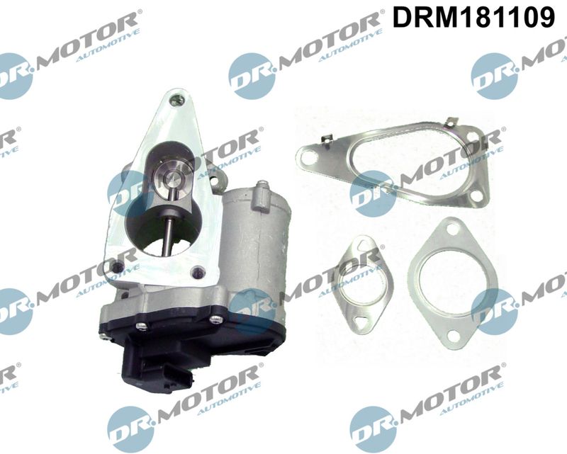 Dr.Motor Automotive DRM181109 EGR Valve