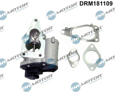 EGR Valve Dr.Motor Automotive DRM181109