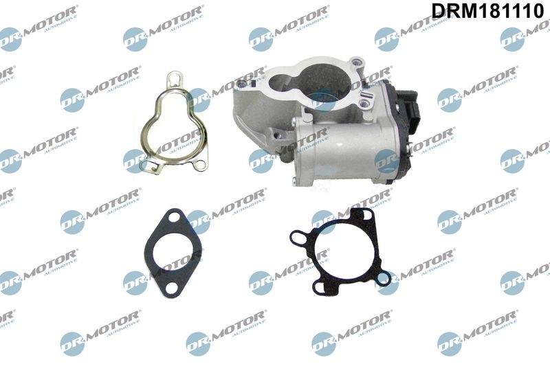 Dr.Motor Automotive DRM181110 EGR Valve