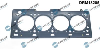 Gasket, cylinder head Dr.Motor Automotive DRM18205