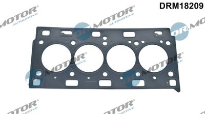 Gasket, cylinder head Dr.Motor Automotive DRM18209