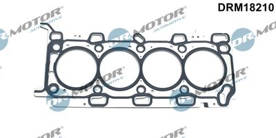 Gasket, cylinder head Dr.Motor Automotive DRM18210