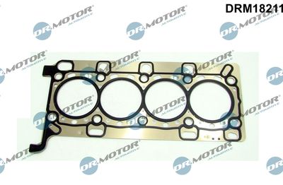 Gasket, cylinder head Dr.Motor Automotive DRM18211