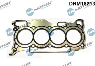 Gasket, cylinder head Dr.Motor Automotive DRM18213
