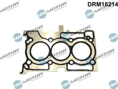 Gasket, cylinder head Dr.Motor Automotive DRM18214