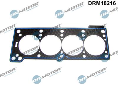 Gasket, cylinder head Dr.Motor Automotive DRM18216