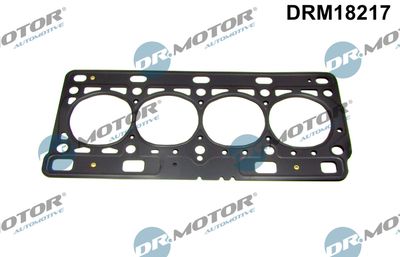 Gasket, cylinder head Dr.Motor Automotive DRM18217