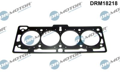 Gasket, cylinder head Dr.Motor Automotive DRM18218