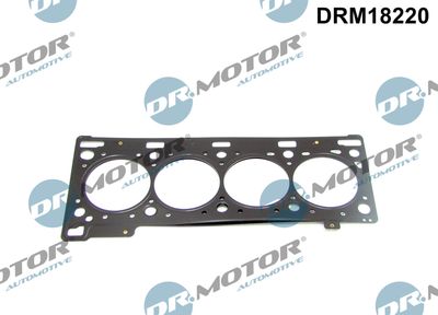 Gasket, cylinder head Dr.Motor Automotive DRM18220