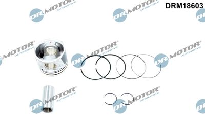 Piston Dr.Motor Automotive DRM18603
