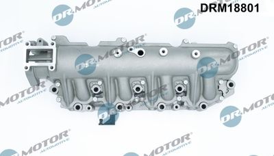 Intake Manifold Module Dr.Motor Automotive DRM18801