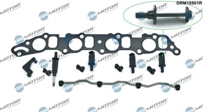 Repair Kit, intake manifold module Dr.Motor Automotive DRM18801R