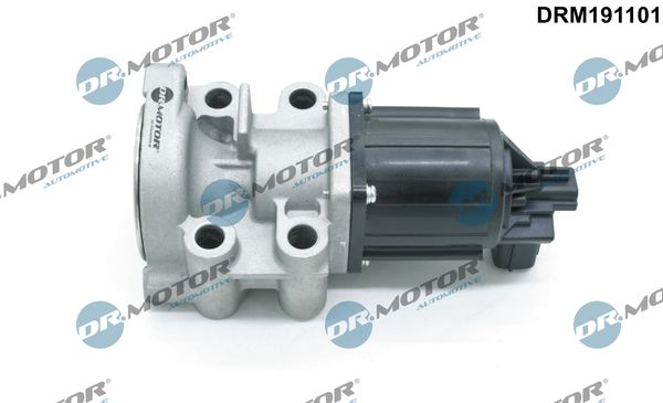 Dr.Motor Automotive DRM191101 EGR Valve