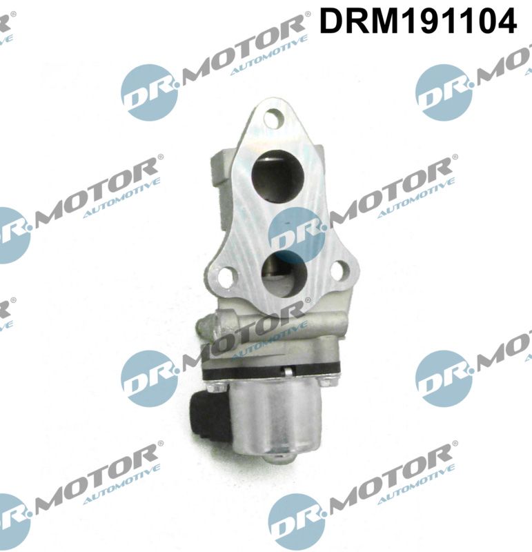 Dr.Motor Automotive DRM191104 EGR Valve