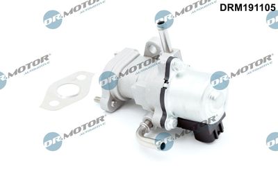 EGR Valve Dr.Motor Automotive DRM191105