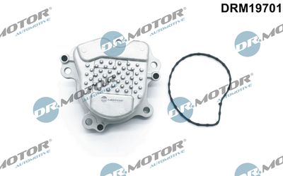 Water Pump, engine cooling Dr.Motor Automotive DRM19701