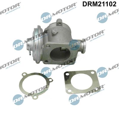 EGR Valve Dr.Motor Automotive DRM21102