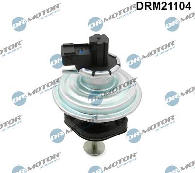 EGR Valve Dr.Motor Automotive DRM21104