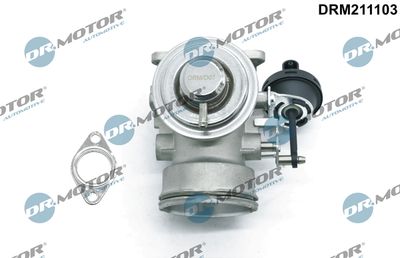 EGR Valve Dr.Motor Automotive DRM211103