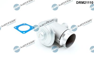 EGR Valve Dr.Motor Automotive DRM21110